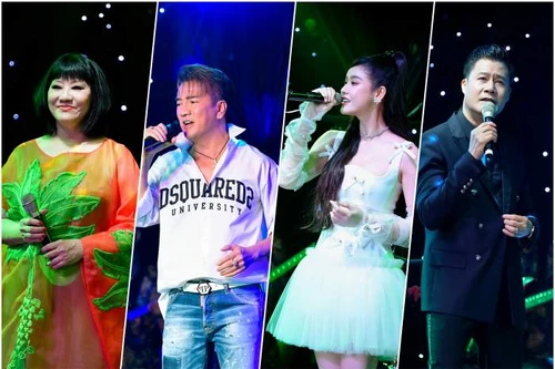 Đàm Vĩnh Hưng và dàn sao gây quỹ 1,6 tỷ đồng ủng hộ các nạn nhân trong vụ cháy chung cư mini Hà Nội