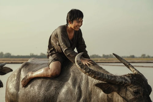 “Bé An” của “Đất rừng Phương Nam” tự thực hiện cảnh quay mạo hiểm 