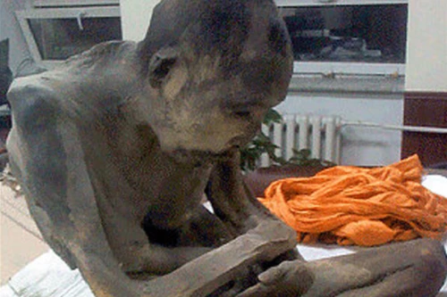 Phát hiện xác ướp Phật tử 200 năm “vẫn còn sống”