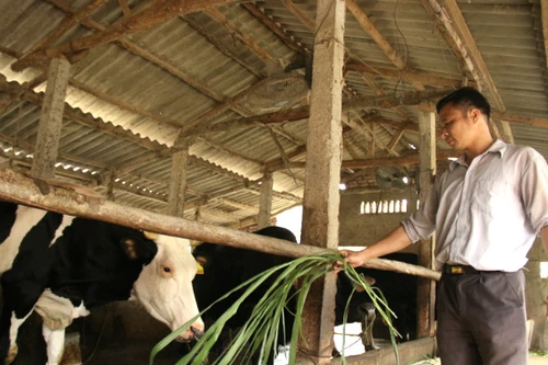 Từ vài triệu đồng vốn vay dựng cơ ngơi bạc tỷ