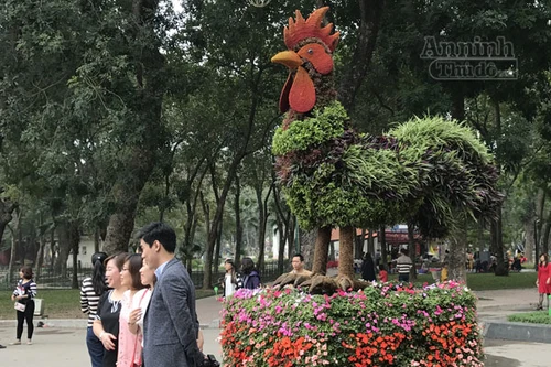 12 con giáp "khủng" trong công viên Thống Nhất ra hoa rực rỡ