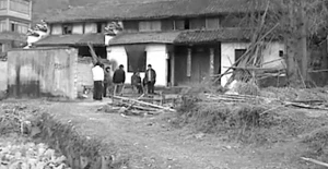 Chó béc giê nổi điên, ăn thịt bé gái 8 tuổi