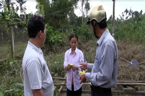 Khẩn trương xử lý, vệ sinh môi trường sau lũ