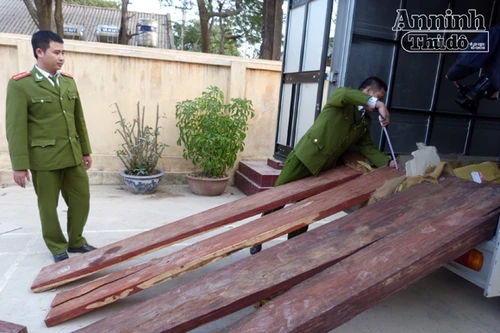 Gỗ lậu tiền tỷ lại "về" sân bay Nội Bài