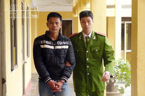 Bao thuốc lá chứa má túy giấu dưới gốc đa