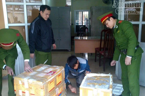 Gỗ quý, rắn biển "đi" máy bay