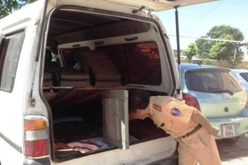 "Chế" khoang ngầm để vận chuyển vảy tê tê