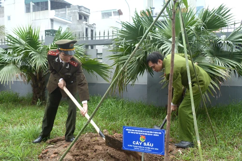 Hào hứng "Ngày thứ bảy tình nguyện"