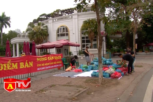 Chung tay "giải cứu" nông sản Hải Dương: Ấm áp tình người mùa dịch Covid