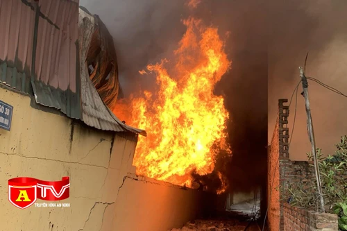 Đình chỉ cơ sở xảy cháy tại huyện Đan Phượng