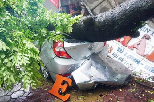 Lúa ngập trắng đồng, điện lưới tê liệt diện rộng do hoàn lưu bão số 1