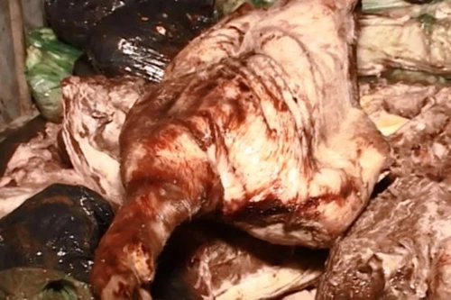 Kiểm tra thông tin "thủ phủ" thịt lợn chết tại Thạch Thất