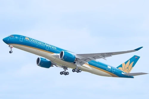 Máy bay Vietnam Airlines không được hạ cánh vì tổ bay chưa được huấn luyện ứng phó thời tiết xấu