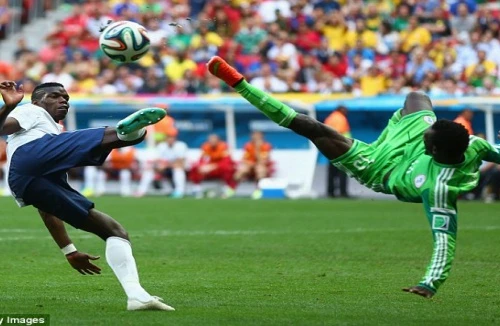 Đại bàng tự gãy cánh trước Gà trống