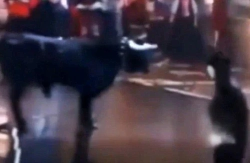 Hóa trang thành Batman khiêu khích “bò điên”, sao Real bị phạt nặng