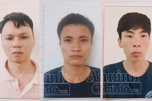 Băng nhóm chuyên trộm két sắt sa lưới