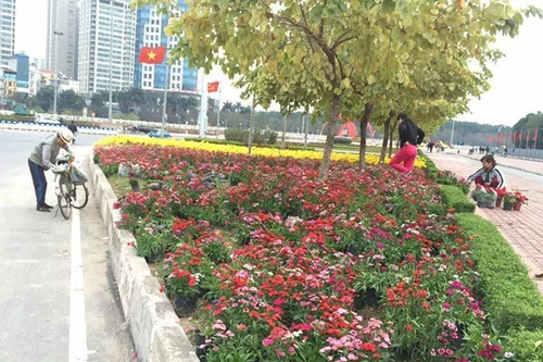 Nhức mắt cảnh trộm hoa nơi công cộng