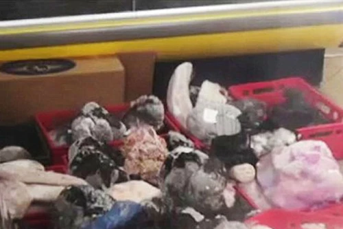 Sốc với 5 tấn thịt đông lạnh 35 năm 