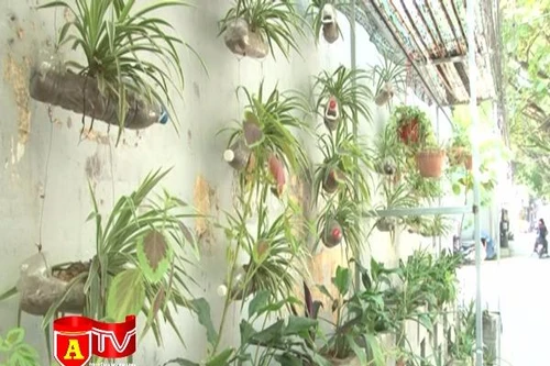 Nhóm sinh viên với ý tưởng cải tạo các điểm vi phạm môi trường thành vườn cây 