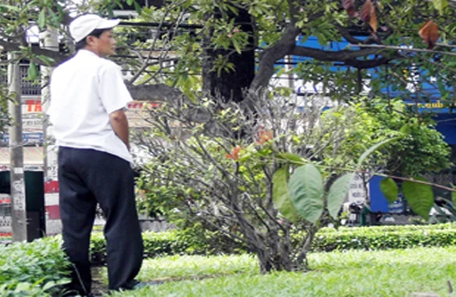 Bị nhắc đi tiểu bậy đâm chết người 