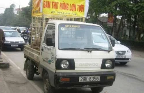 Ngang nhiên căng băng-rôn, rao bán... thịt lợn rừng tươi sống