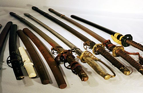 Bị bắn đạn hơi cay, chém trọng thương