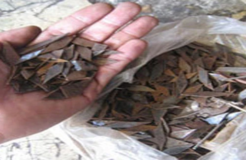 34 tháng từ cho vợ chồng “đinh tặc”