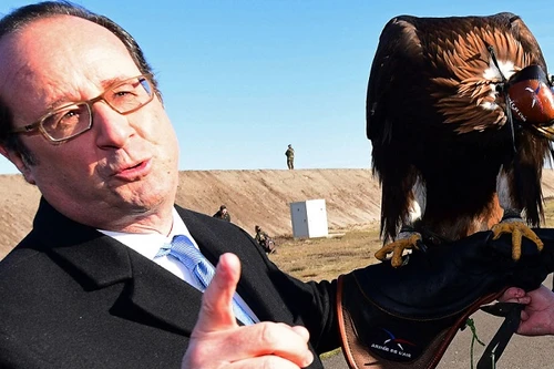 Không quân Pháp trình diễn khả năng bắt UAV bằng chim ưng