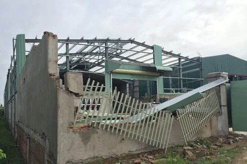 Các doanh nghiệp có thể thiệt hại 1.000 tỷ đồng