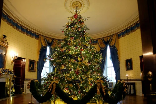 Lịch sử 80 năm cây thông Giáng sinh Nhà Trắng