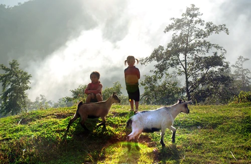 Tuổi thơ đầy ắp tiếng cười nơi vùng cao nghèo khó