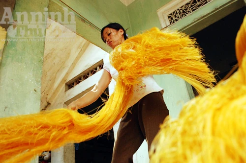 Óng vàng làng cổ Cự Đà vào vụ miến