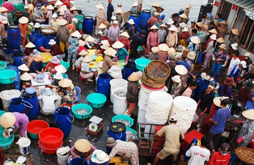Chen chúc nơi cảng cá, lớn nhất nhì miền Trung