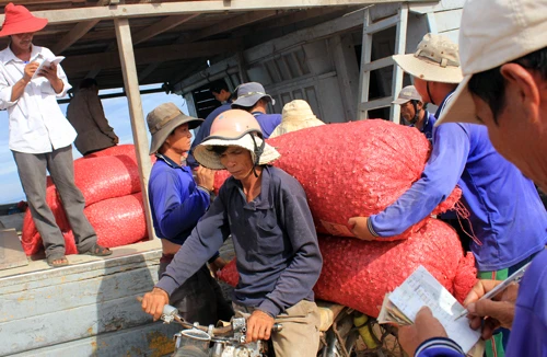 Nhịp sống hối hả trên quê hương Hải đội Hoàng Sa