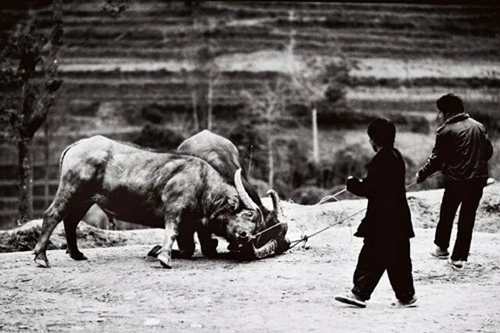 Độc đáo triển lãm ảnh đen trắng