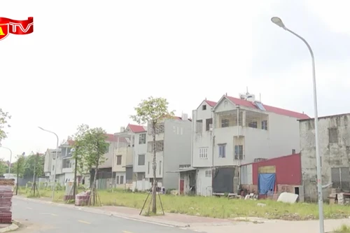 Hà Nội yêu cầu công khai người bỏ cọc đất đấu giá