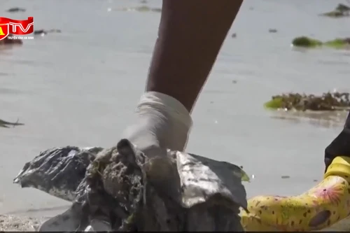 Kenya: Biến rác thải nhựa thành bàn ghế học sinh