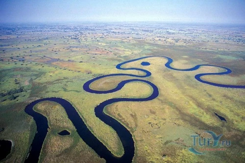 Okavango - Kỳ quan thiên nhiên của châu Phi