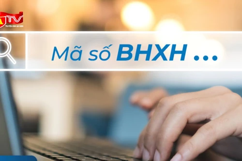 Chỉ cấp duy nhất 01 mã số BHXH cho người tham gia BHXH