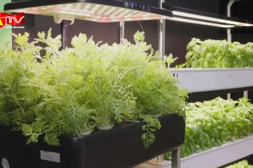 Hội chợ trưng bày sản phẩm mang tính bền vững nổi bật 