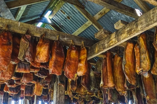 Kỳ dị với món ăn đặc sản cá mập thối ở Iceland