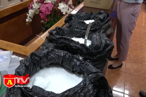 Giấu ma túy vào dạ dày lợn để vận chuyển ra nước ngoài 