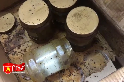 Tạm giữ hàng tấn nguyên liệu để làm trà sữa Royal Tea, Gongcha...