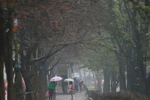 Người Hà Nội "phát ốm" vì mưa phùn kéo dài