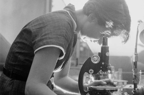 7 người phụ nữ làm thay đổi thế giới