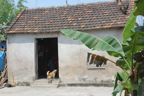 Nghi án vợ bỏ thuốc chuột để hạ độc chồng