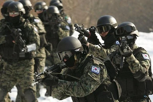 Hàn Quốc lập đơn vị đặc nhiệm hàng không để xâm nhập Triều Tiên