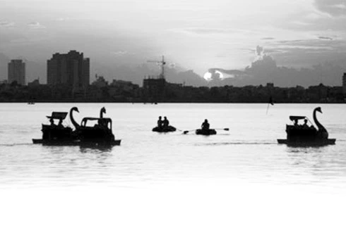 Hồ Tây lao xao hoài con sóng