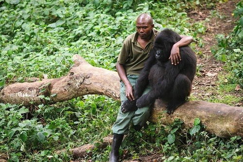 Không tìm mọi cách chụp ảnh với động vật hoang dã