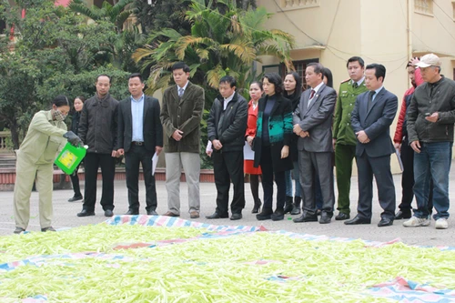 Tiêu hủy 250kg nguyên liệu làm mứt không đảm bảo vệ sinh